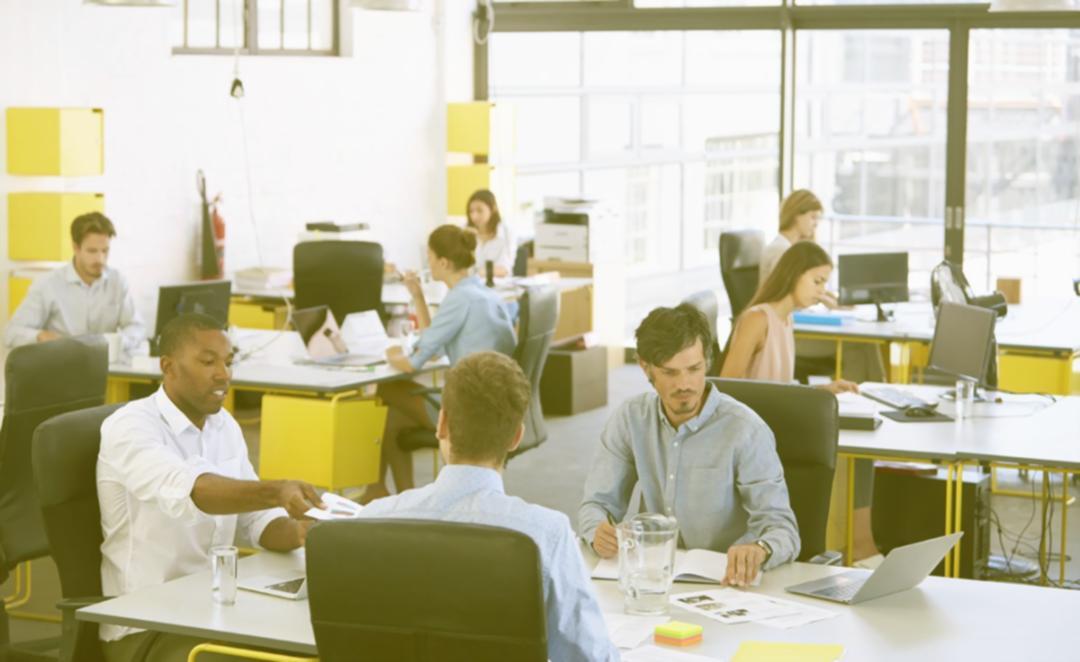 Équipe Zavonelari travaillant sur des stratégies SEO personnalisées